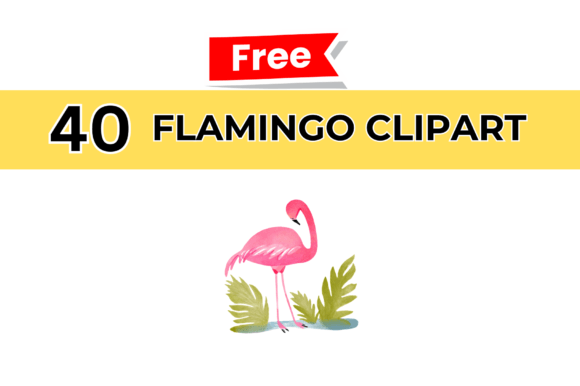 Flamingo Cliparts: A Visual Guide for Every Creator